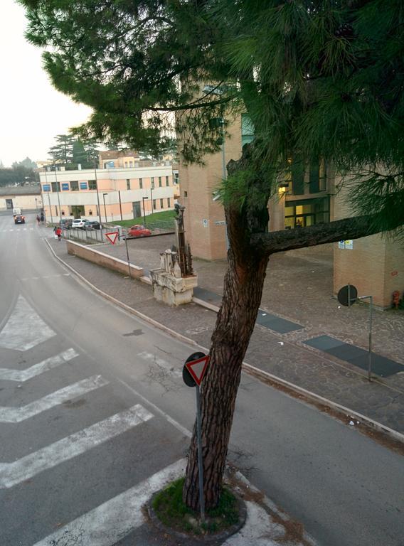 B & B "Le Conce" Iesi Dış mekan fotoğraf