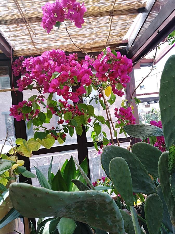 B & B "Le Conce" Iesi Dış mekan fotoğraf